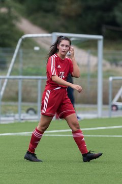 Bild 242 - F FSG Kaltenkirchen - SV Wahlstedt : Ergebnis: 6:1